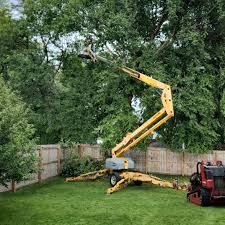 Best Utility Line Clearance  in Pond Creek, OK