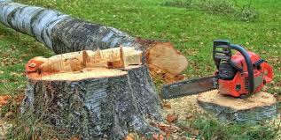 Best Tree and Shrub Care  in Pond Creek, OK