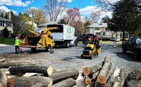 Pond Creek, OK Tree Removal Pros