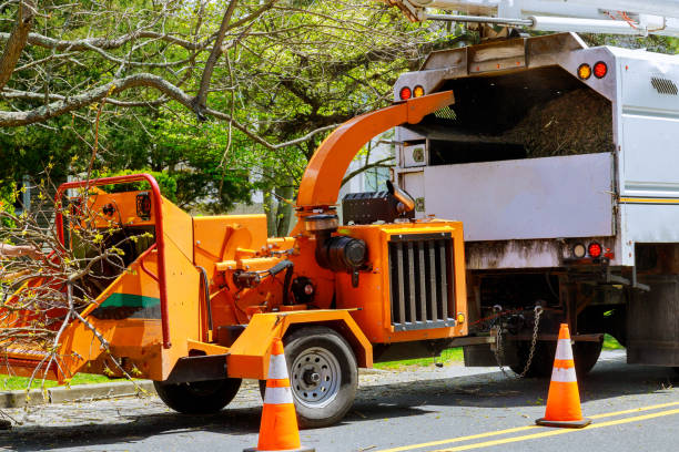Best Arborist Consultation Services  in Pond Creek, OK