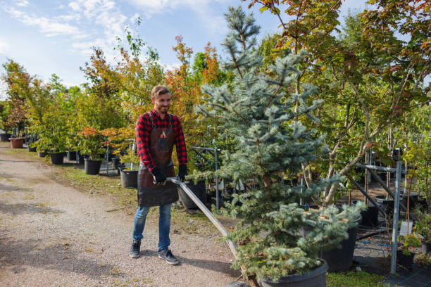 Best Lawn Watering Services  in Pond Creek, OK