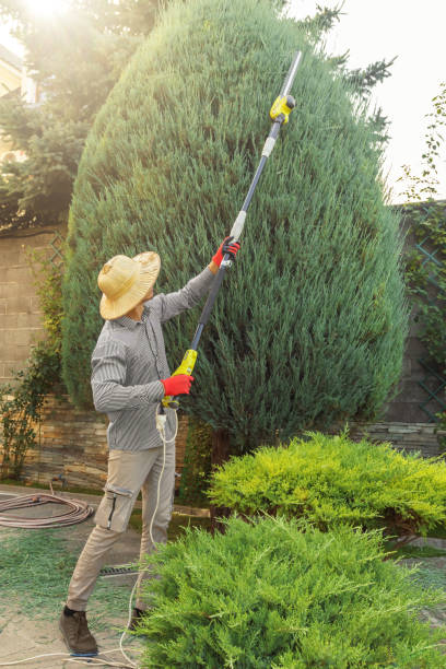 Best Aeration Services  in Pond Creek, OK